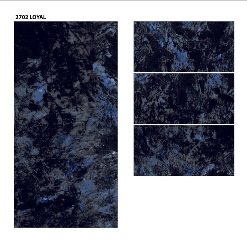 139149876-1770189081.png