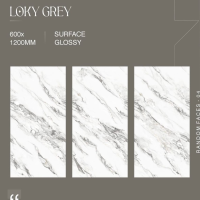 LOKY GREY