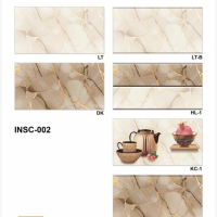 INSC-OO2